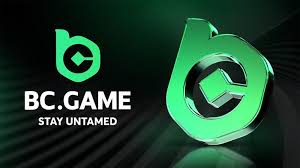 أكواد ترويجية ومكافآت BC Game دليلك للربح أكواد ترويجية ومكافآت BC Game دليلك للربح