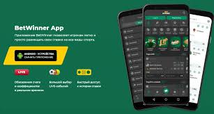 BetWinner in Tunisia Your Guide to Online Betting