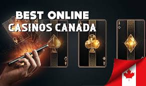Exploring the Best Online Casino Sites in Canada