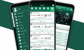 The Ultimate Guide to BetWinner Online Casino